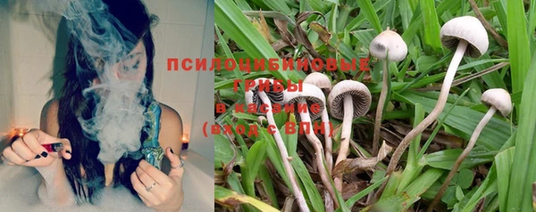 спиды Семикаракорск