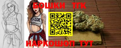 индика Беслан