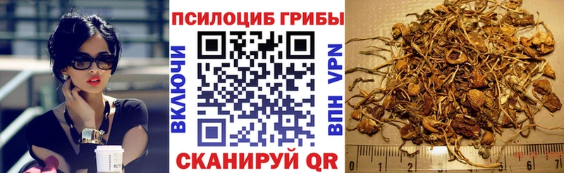 Псилоцибиновые грибы прущие грибы  Котлас 