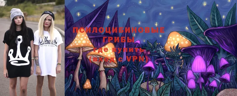 ссылка на мегу как зайти  Котлас  Галлюциногенные грибы Psilocybe  купить наркоту 