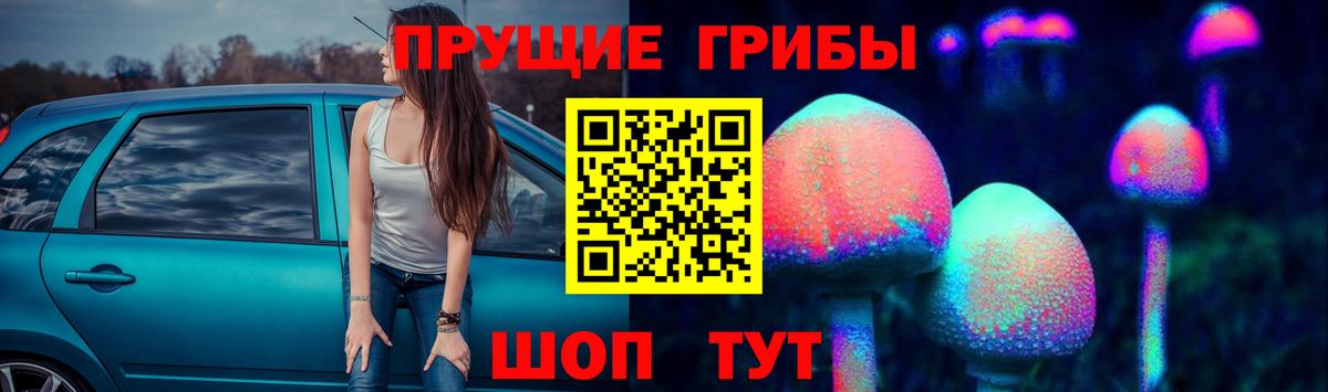 Псилоцибиновые грибы ЛСД Котлас
